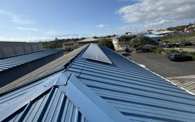 Revitalizing Warehouses for Performance and Productivity